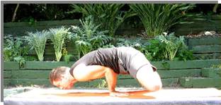 Yogi Marcos preparing Mayurasana with loto legs posture